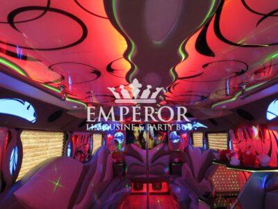 TITANIUM Party Bus – 30 passenger - limo service chicago