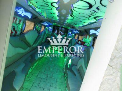 TITANIUM Party Bus – 30 passenger - limo service chicago