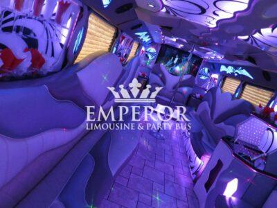 TITANIUM Party Bus – 30 passenger - limo service chicago