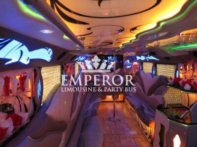TITANIUM Party Bus – 30 passenger - limo service chicago