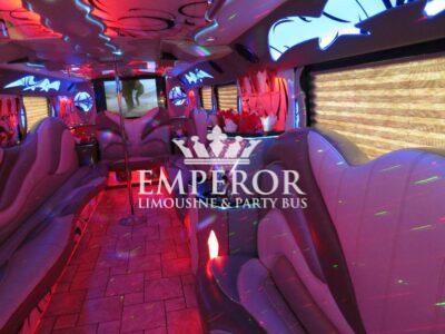 TITANIUM Party Bus – 30 passenger - limo service chicago