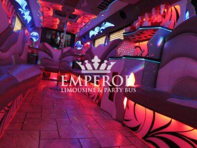 TITANIUM Party Bus – 30 passenger - limo service chicago