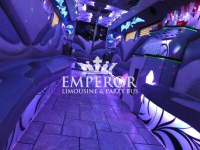TITANIUM Party Bus – 30 passenger - limo service chicago