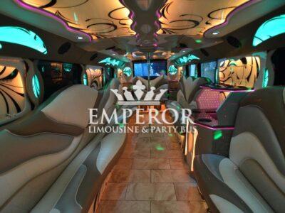 TITANIUM Party Bus – 30 passenger - limo service chicago
