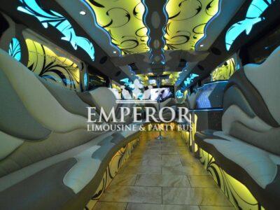 TITANIUM Party Bus – 30 passenger - limo service chicago