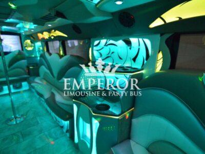TITANIUM Party Bus – 30 passenger - limo service chicago