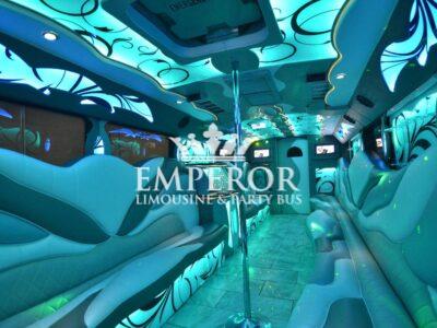 TITANIUM Party Bus – 30 passenger - limo service chicago