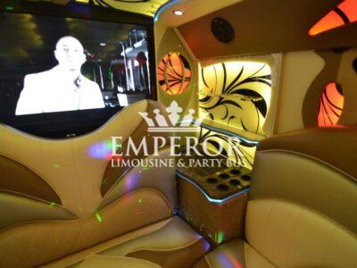 TITANIUM Party Bus – 30 passenger - limo service chicago
