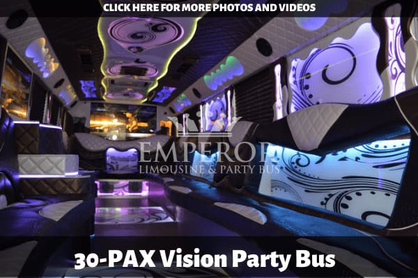 VISION Party Bus – 30 passenger - limo service chicago