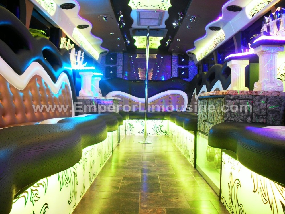 Party Bus Fleet Preview - limo service chicago