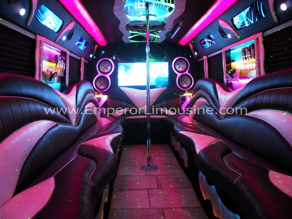 Party Bus Fleet Preview - limo service chicago