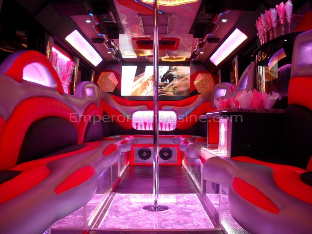 Party Bus Fleet Preview - limo service chicago