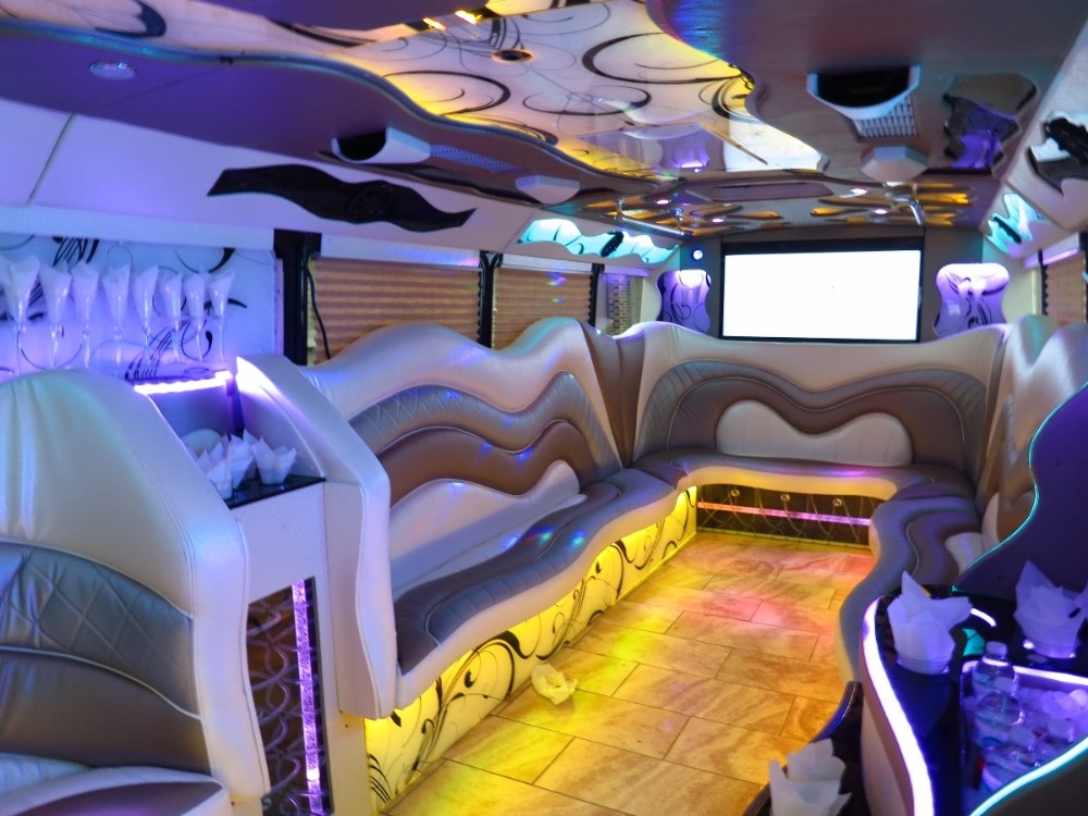 Party Bus Fleet Preview - limo service chicago