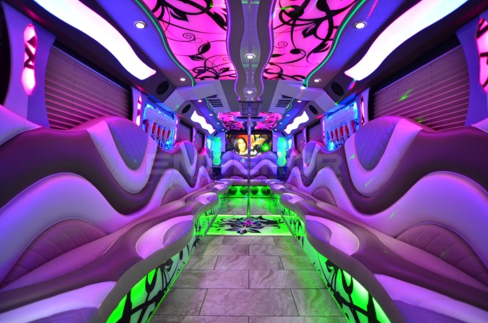 Party Bus Fleet Preview - limo service chicago