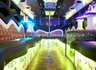 Best party bus company