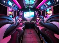 Chicago party bus company