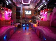Party Bus Chicago company