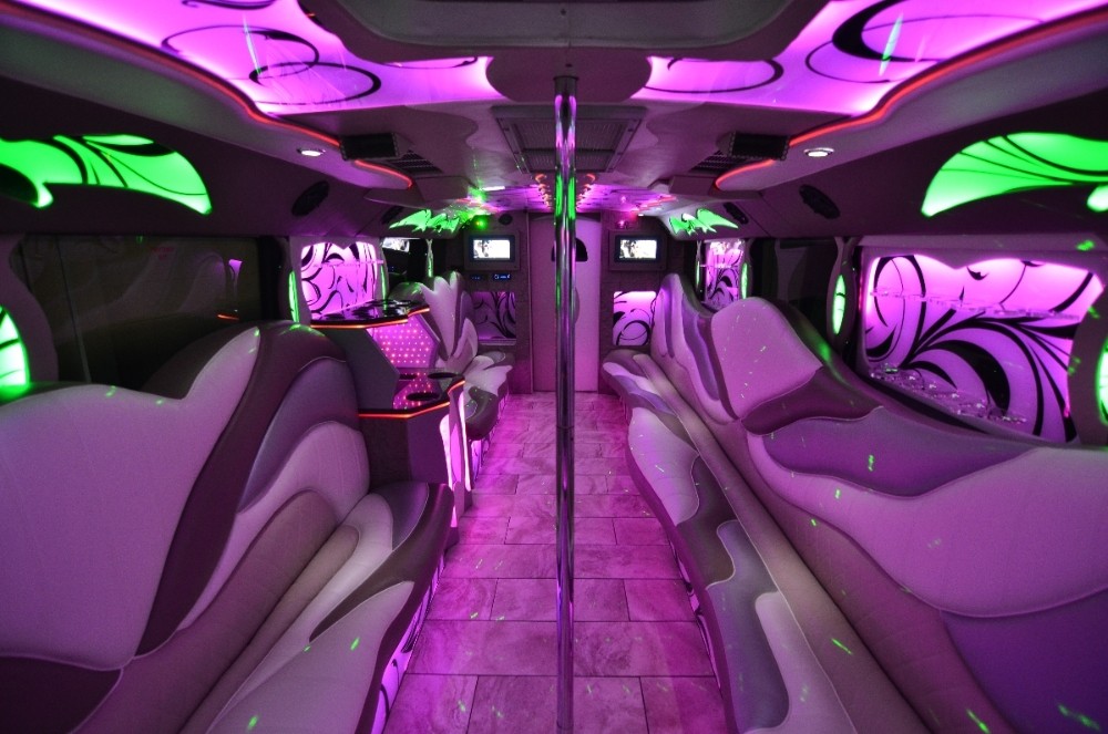 Party Bus Fleet Preview - limo service chicago