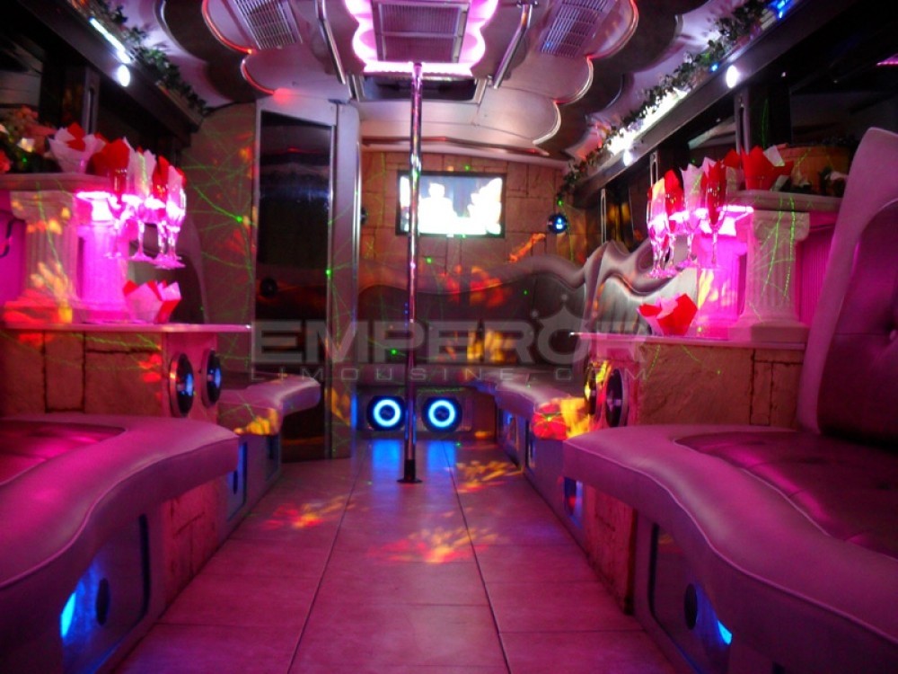 Party Bus Fleet Preview - limo service chicago