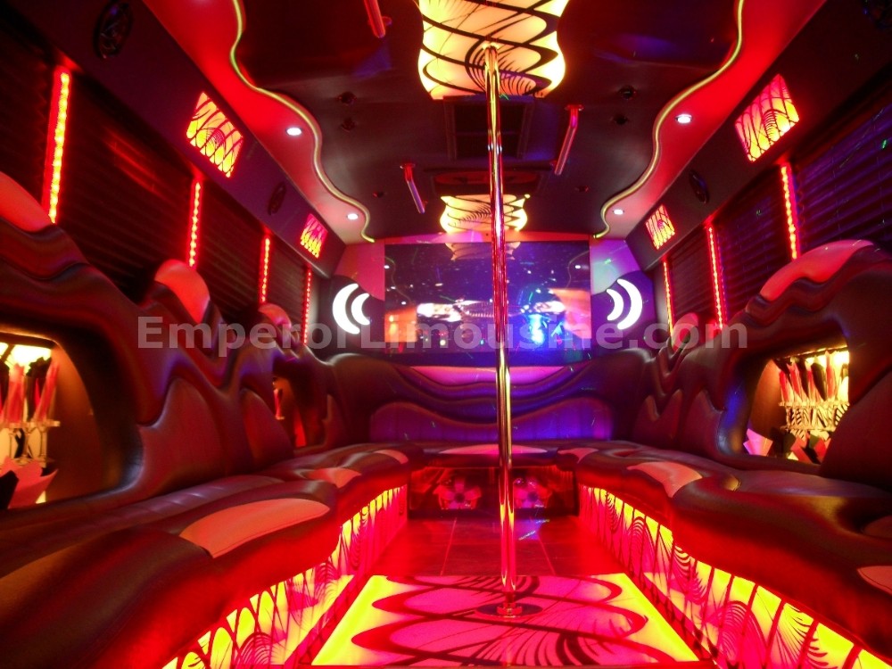 Party Bus Fleet Preview - limo service chicago