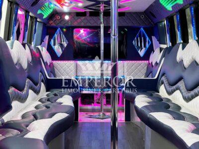 party bus for 40 people