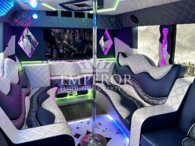 40 person party bus in Chicago